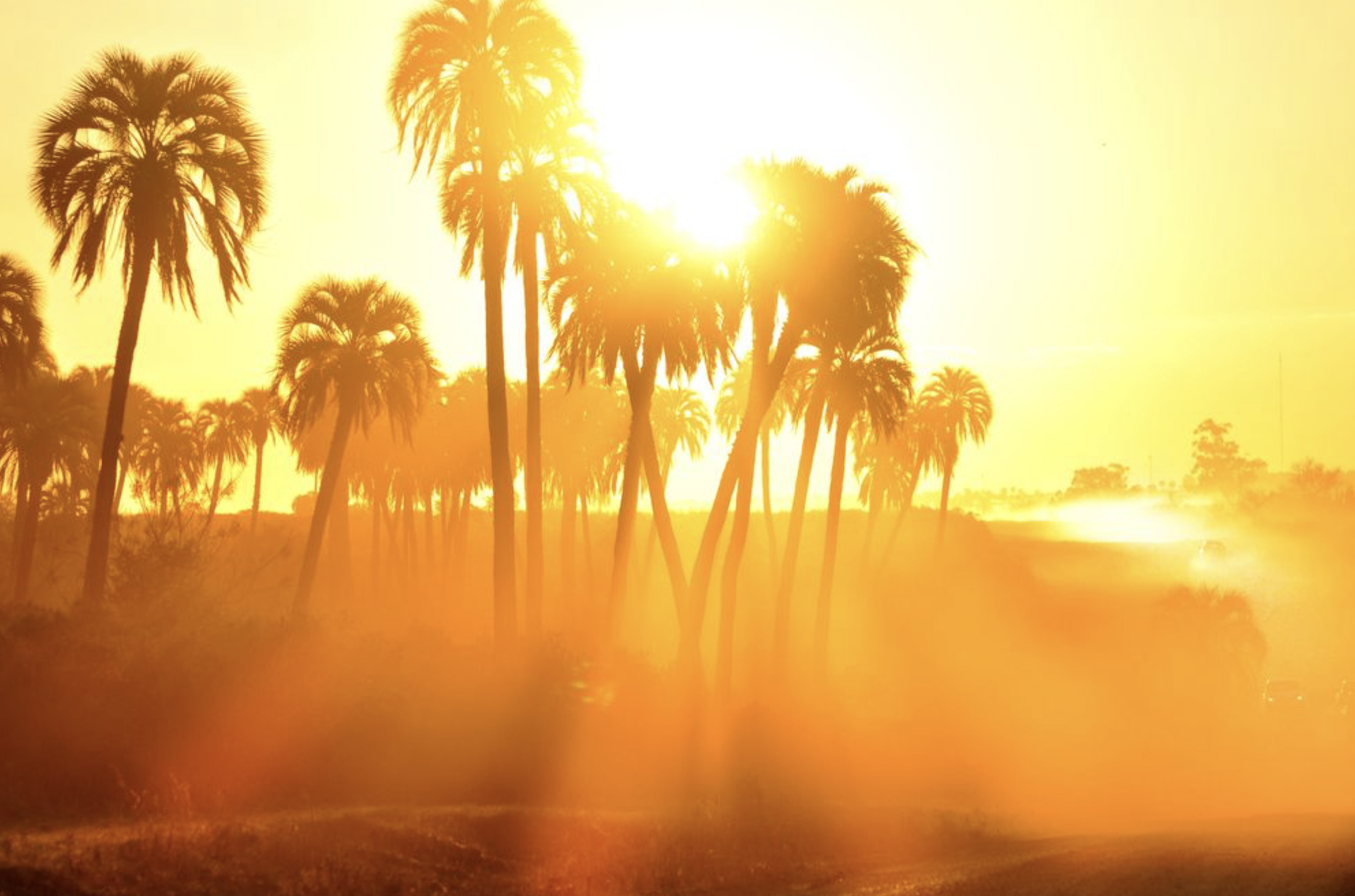 It’s hot and getting hotter. What’s that mean for hurricane season?
